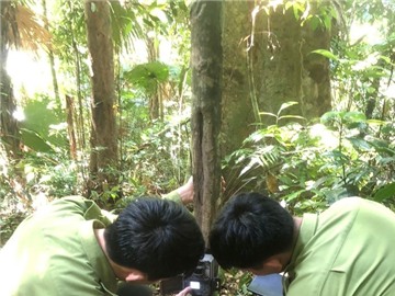 Sử dụng máy bẫy ảnh kỹ thuật số trong công tác điều tra và giám sát động vật hoang dã tại Khu BTTN Pù Hoạt